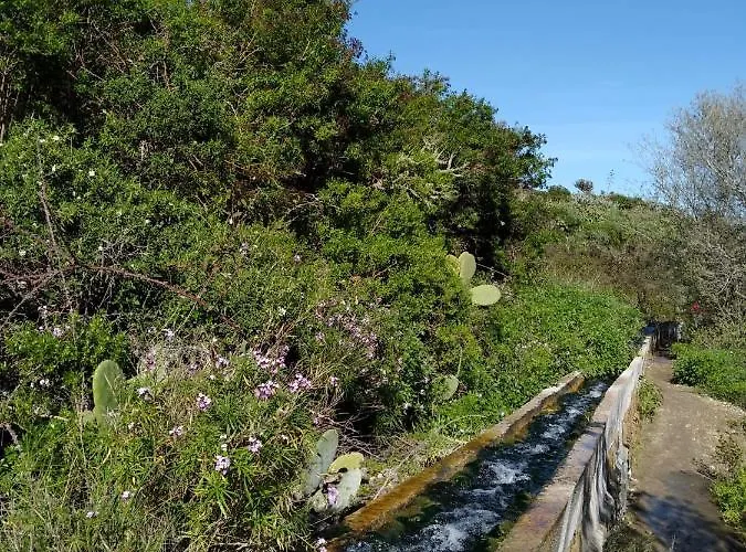 Casa de Férias Casa Canaria Tradicional Rosalía