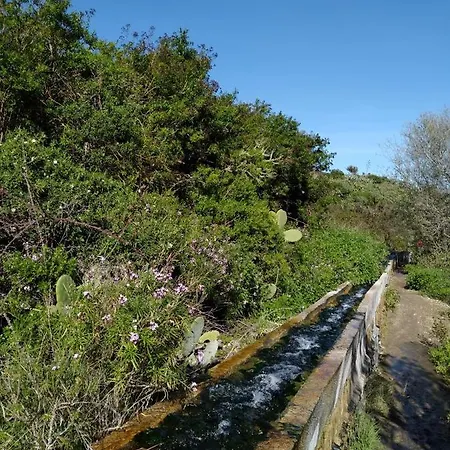 別荘 Casa Canaria Tradicional Rosalia